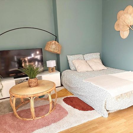 La Vue Royale - Face Au Chateau - Wifi - 4 Personnes 波城 外观 照片